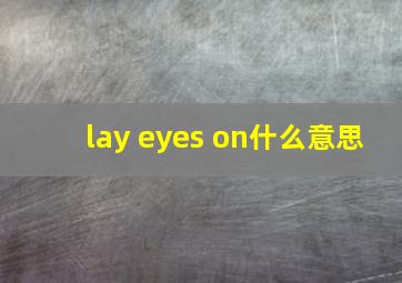 lay eyes on什么意思